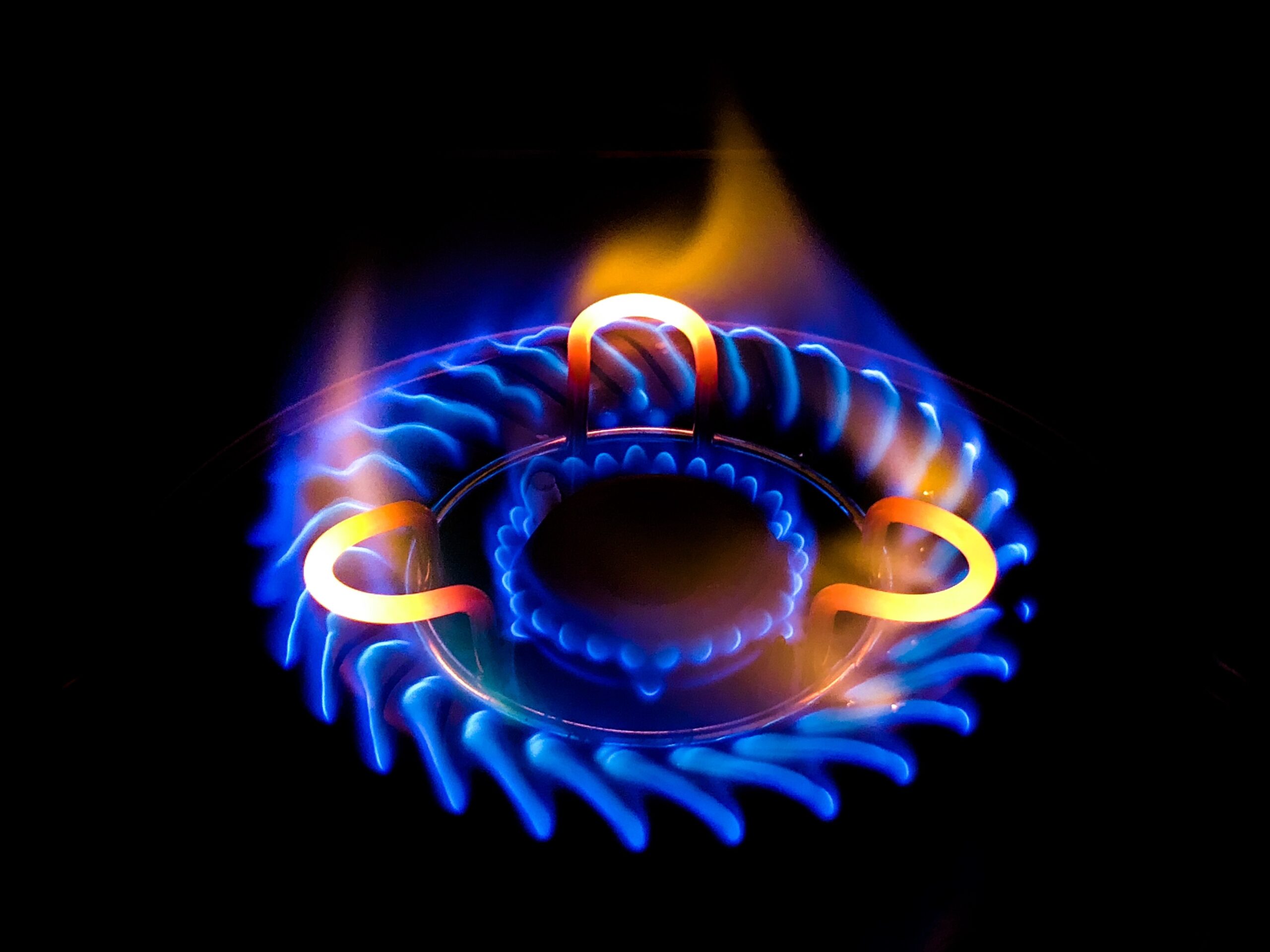 Guía para elegir el mejor proveedor de gas LP en línea beneficios del gas lp para invierno - primer plano hermosa llama azul estufa gas scaled - Beneficios del Gas LP para invierno