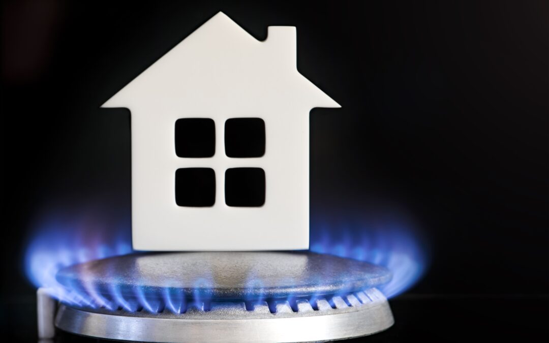 Gas LP: Tips para aprovechar al máximo el gas lp en tu hogar